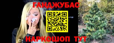 мяу мяу мука Беслан